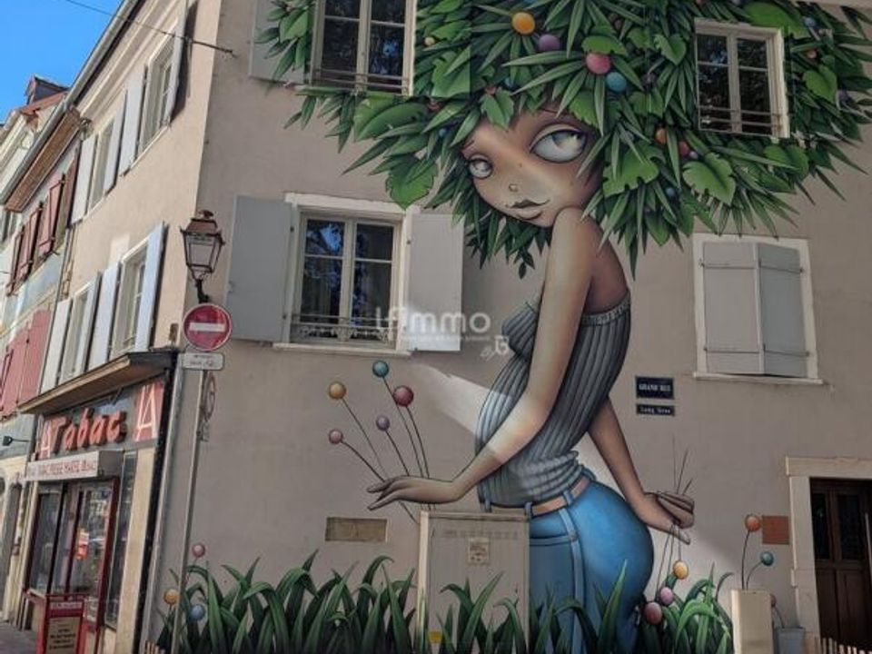 Erhvervsejendom i Mulhouse, Haut-Rhin - foto 5