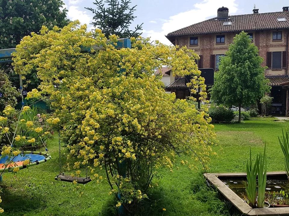 Villa i Riva Presso Chieri, Turin - foto 5