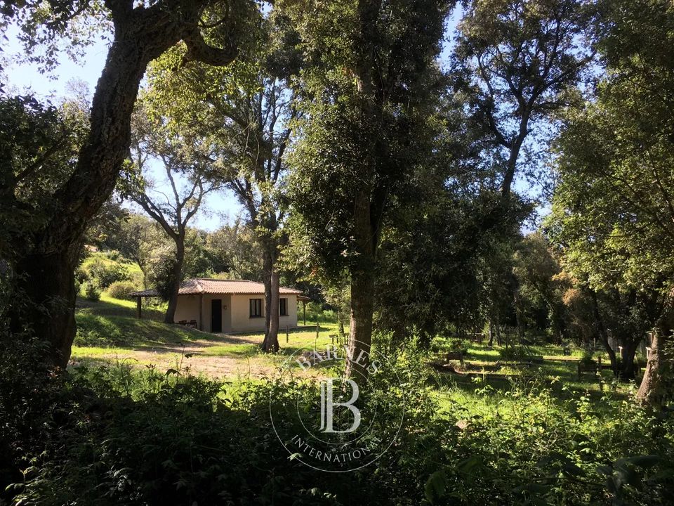 Villa i Porto-Vecchio, Corse-du-Sud - bilde 1