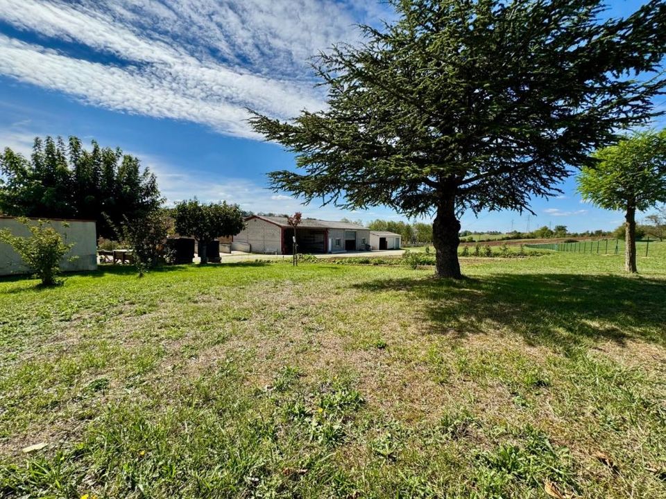 Villa i Castres, Tarn - foto 4