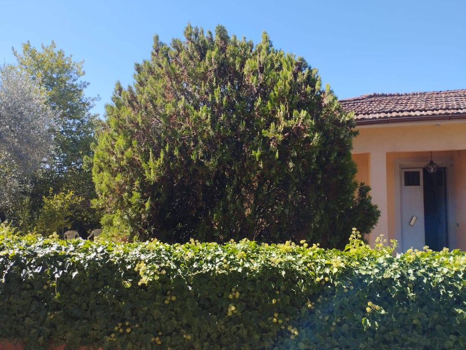 Villa i Montopoli in Val d'Arno, Pisa - foto 3