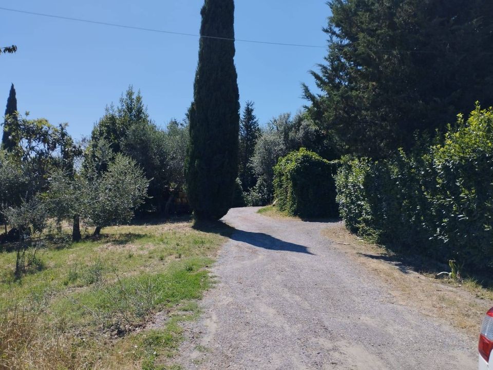 Villa i San Miniato, Pisa - foto 3