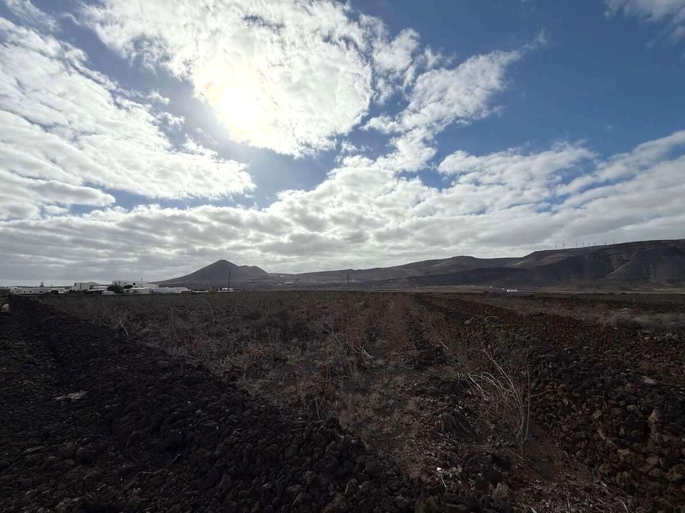 Land in Guatiza, Lanzarote - photo 2