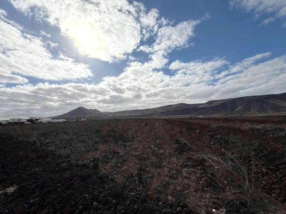Land in Guatiza, Lanzarote - photo 3
