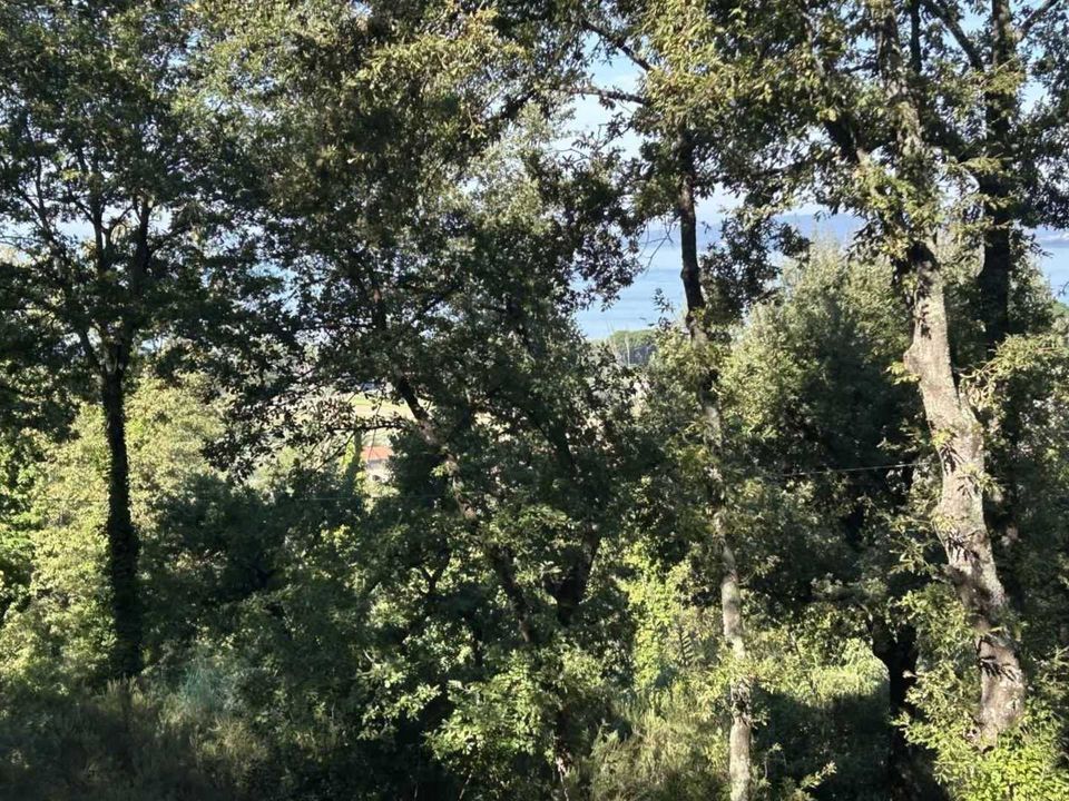 Villa i Magione, Perugia - foto 4