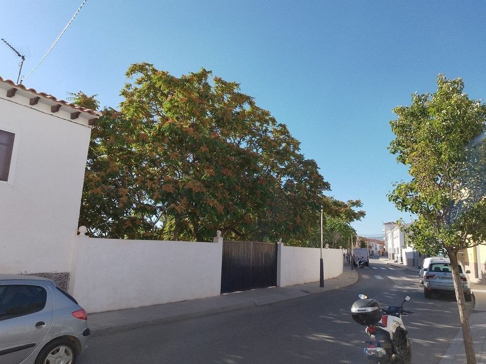 Landsbyhus i Baza, Granada - foto 2