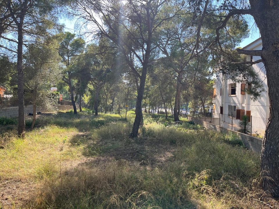 Helårsgrund i Santa Ponsa, Mallorca - foto 4
