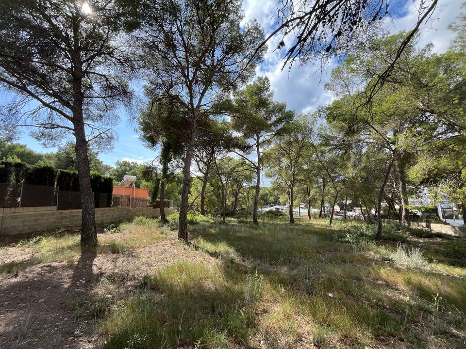 Helårsgrund i Santa Ponsa, Mallorca - foto 1