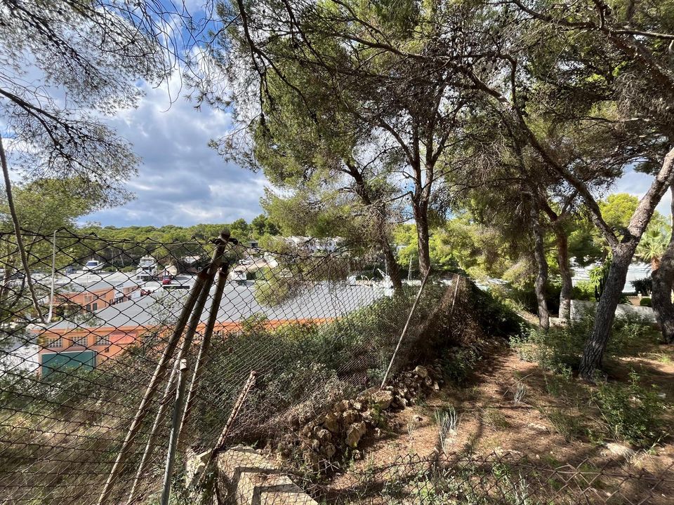 Helårsgrund i Santa Ponsa, Mallorca - foto 2