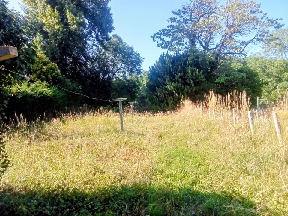 Villa i Exideuil-sur-Vienne, Charente - foto 3