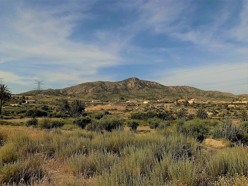 Landejendom i Barinas, Murcia - foto 2