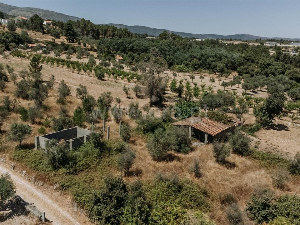 Herregård i Fundao, Castelo Branco - bilde 5