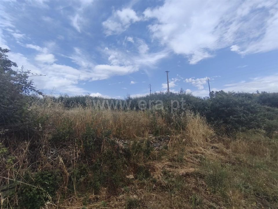 Tomt i Fundao, Castelo Branco - bilde 1