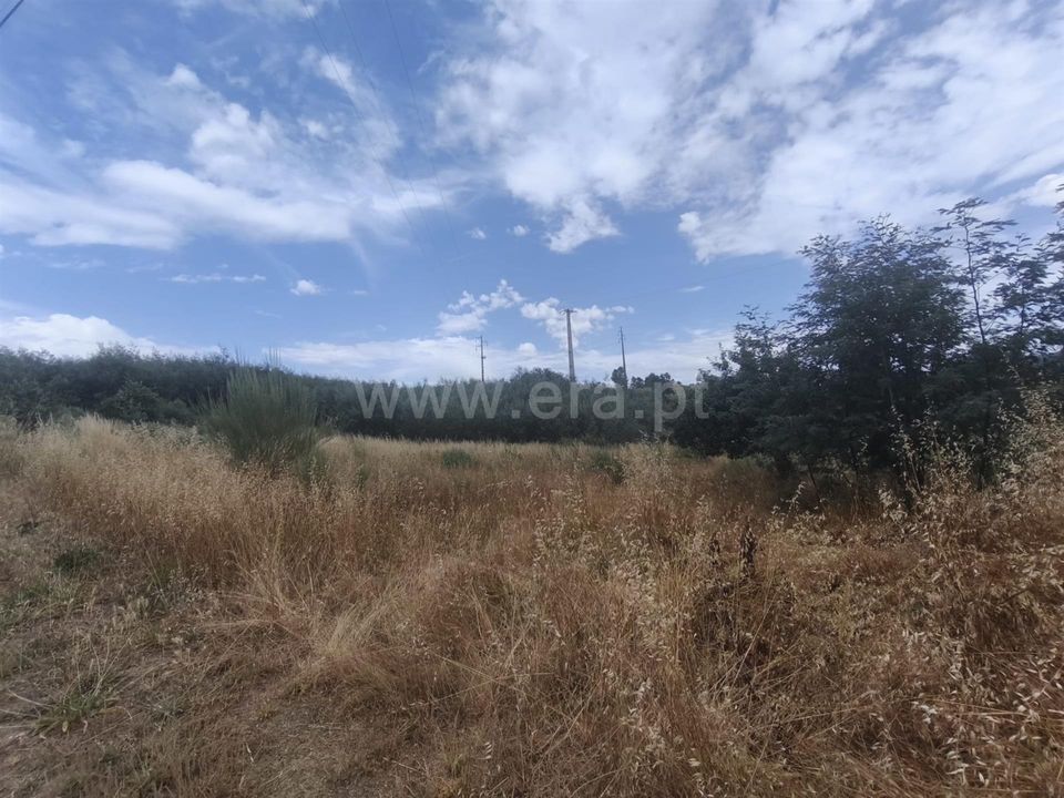Tomt i Fundao, Castelo Branco - bilde 3