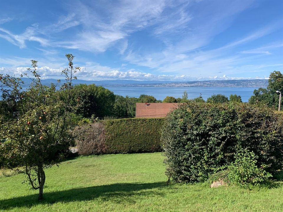 Villa i Maxilly-sur-Leman, Haute-Savoie - foto 2