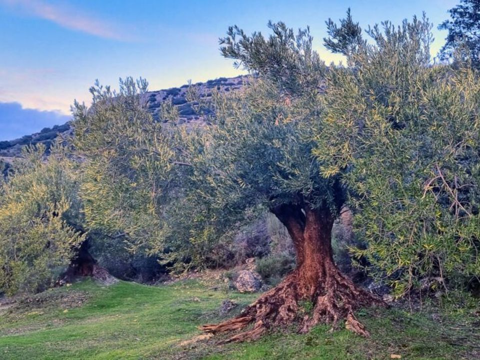Byhus i Zuheros, Cordoba - foto 3