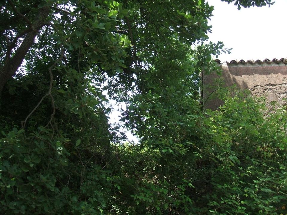 Næringseiendom i Trecastagni, Catania - bilde 2