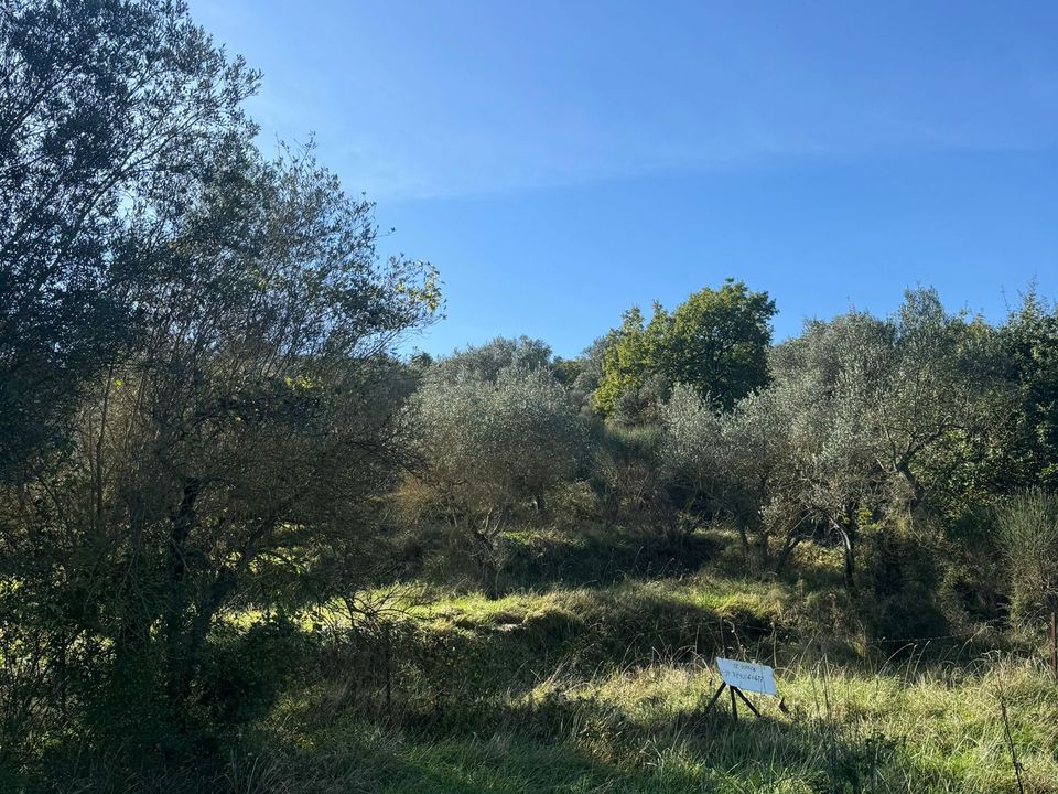 Helårsgrund i Sant'Arcangelo, Potenza - foto 3