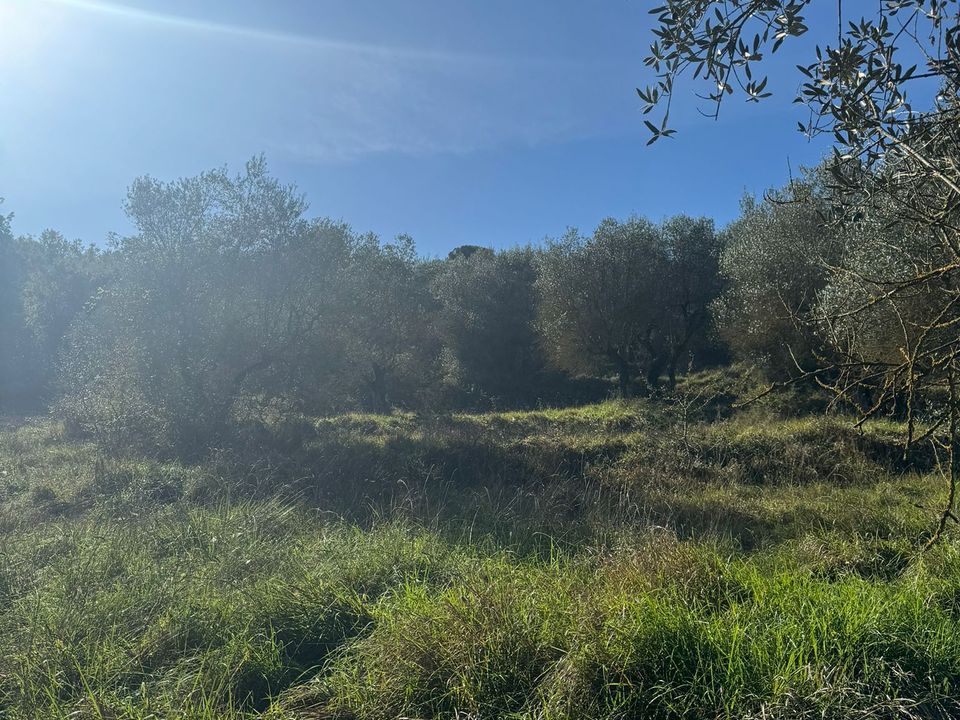 Helårsgrund i Sant'Arcangelo, Potenza - foto 4