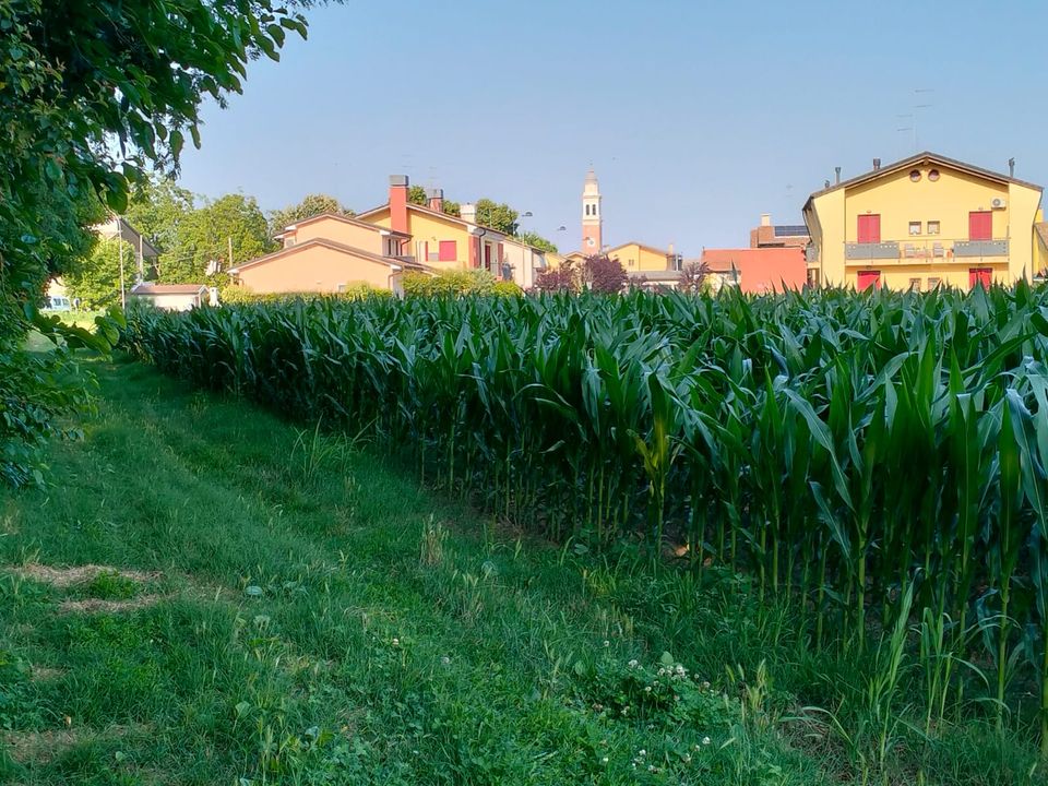 Helårsgrund i Trebaseleghe, Padua - foto 1