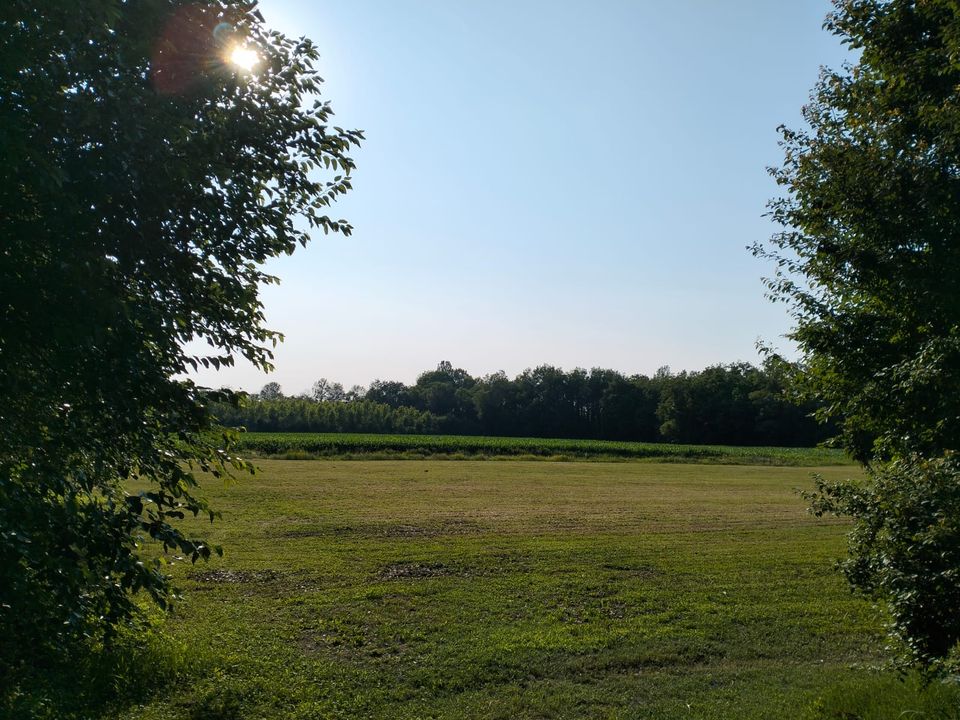 Helårsgrund i Trebaseleghe, Padua - foto 2