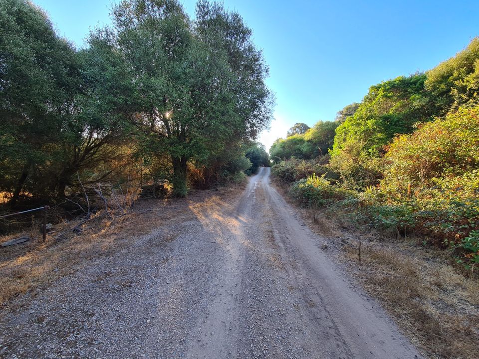 Helårsgrund i Sassari, Sassari - foto 2