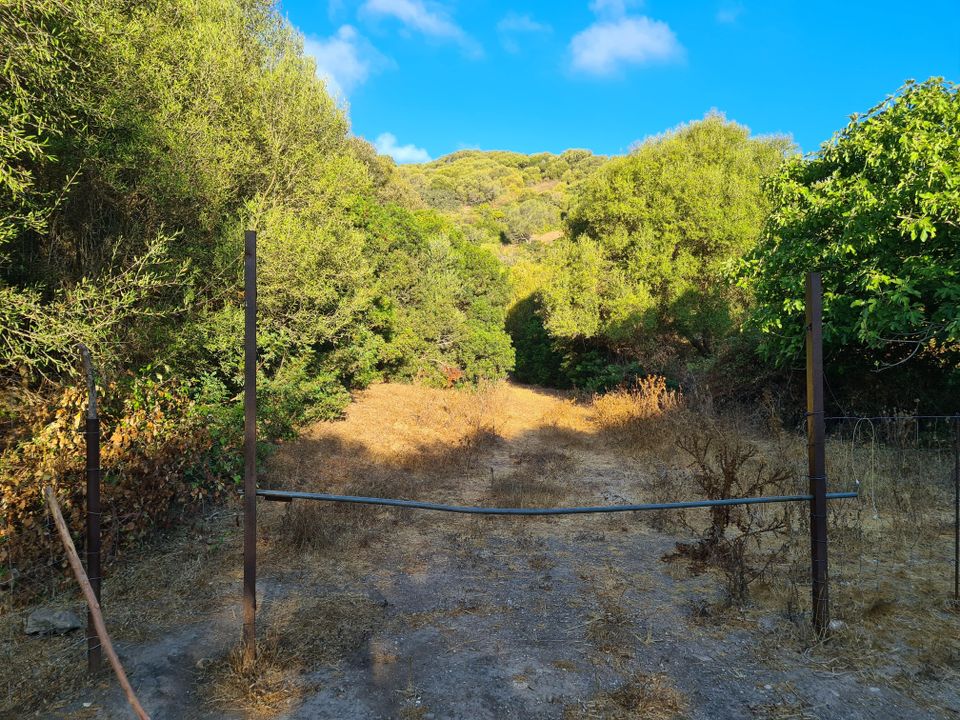 Helårsgrund i Sassari, Sassari - foto 4