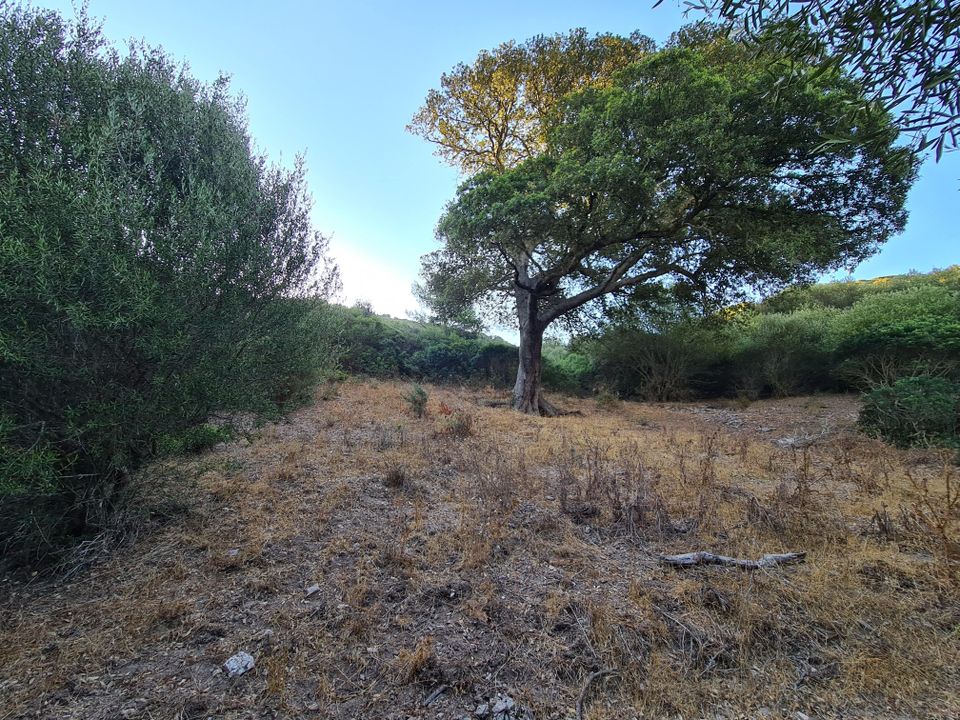 Helårsgrund i Sassari, Sassari - foto 5