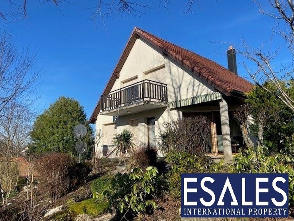 Villa i Seppois-le-Bas, Haut-Rhin - foto 1