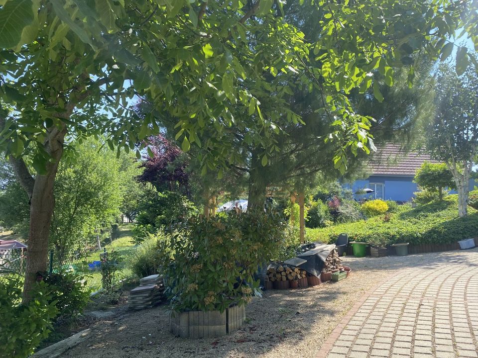 Villa i Seppois-le-Bas, Haut-Rhin - foto 4