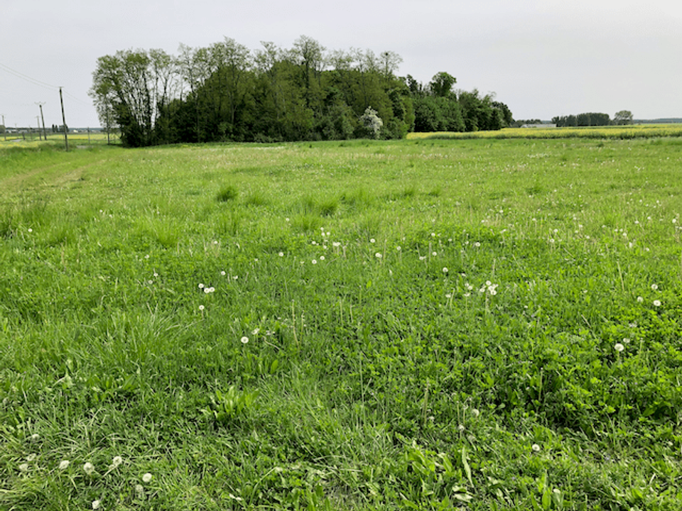 Villa in Moisy, Loir-et-Cher - foto 5