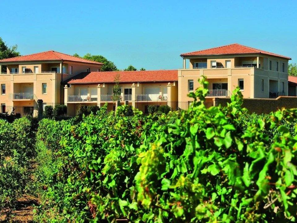 Lejlighed i Azille, Aude - foto 3