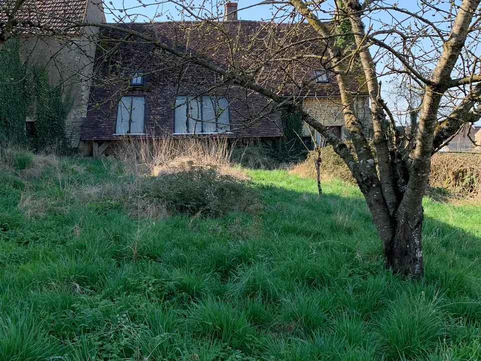 Herregård i Saizy, Nievre - bilde 3