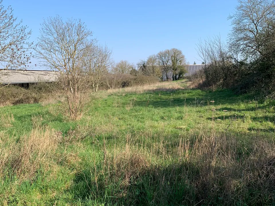 Herregård i Saizy, Nievre - bilde 2