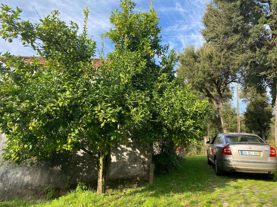 Helårsgrund i Sao Pedro do Sul, Viseu - foto 2