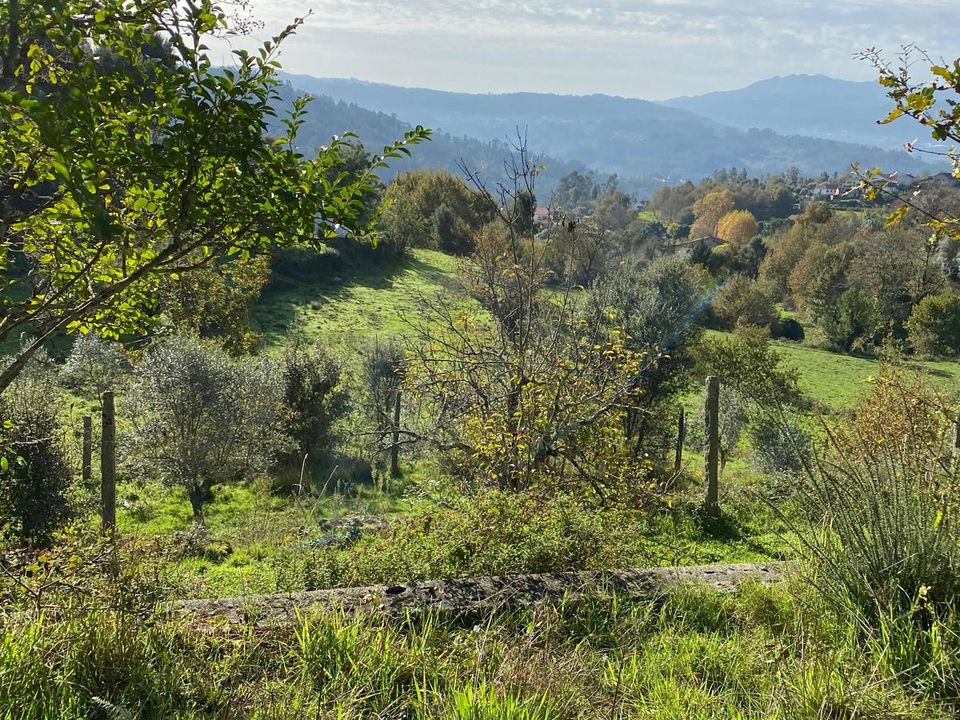 Helårsgrund i Sao Pedro do Sul, Viseu - foto 4