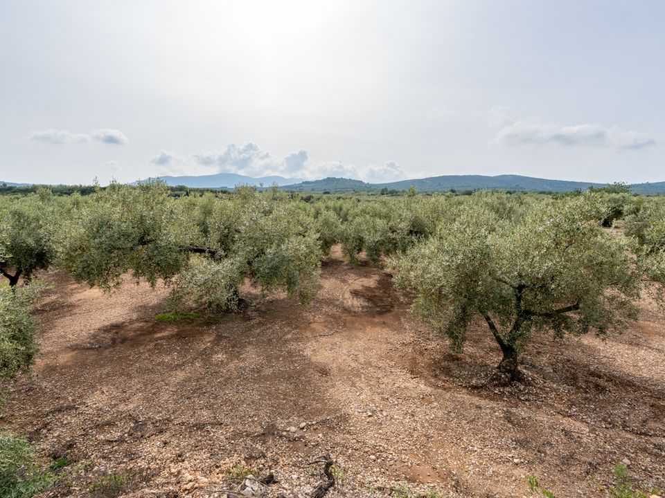 Finca i La Galera, Tarragona - foto 4