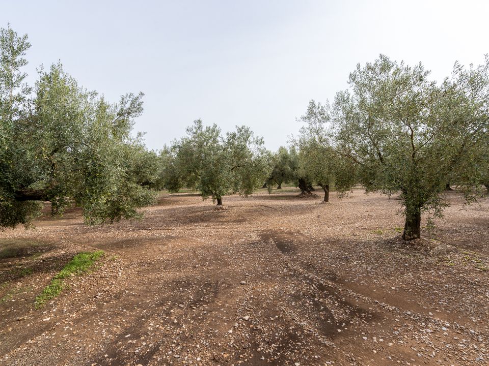 Finca i La Galera, Tarragona - foto 5