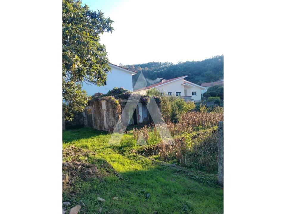 Ruinere i Barcelos, Braga - foto 3
