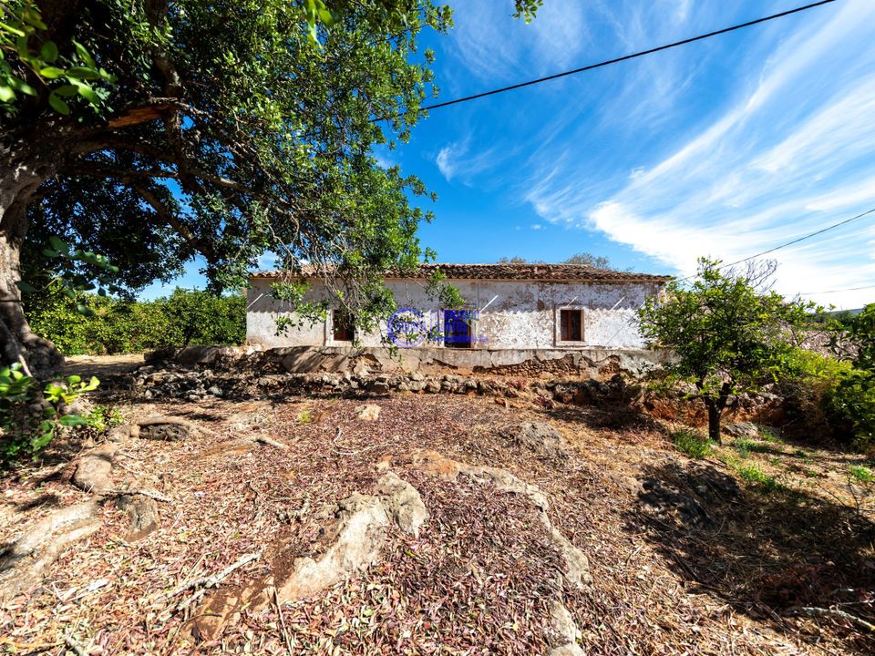 Farm hus i Paderne, Faro - foto 1