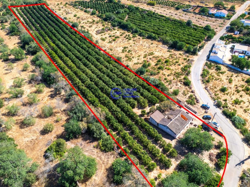 Farm hus i Paderne, Faro - foto 2