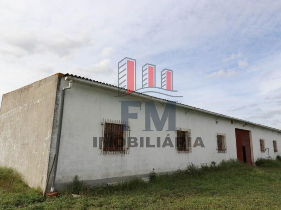 Farm i Almeirim, Santarem - foto 2
