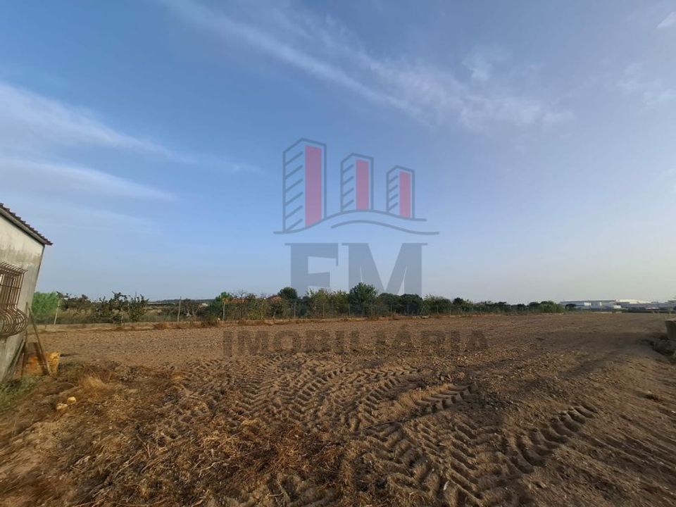 Farm i Almeirim, Santarem - foto 3
