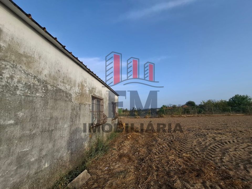 Farm i Almeirim, Santarem - foto 5