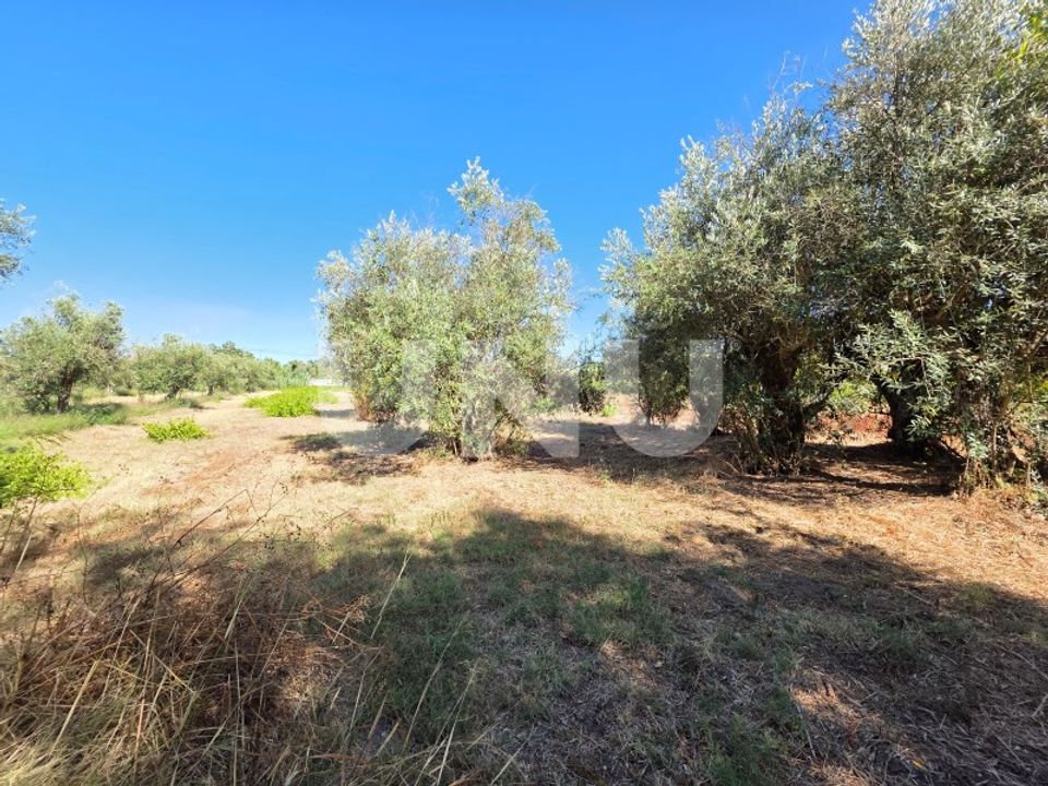 Villa i Abrantes, Santarem - foto 1