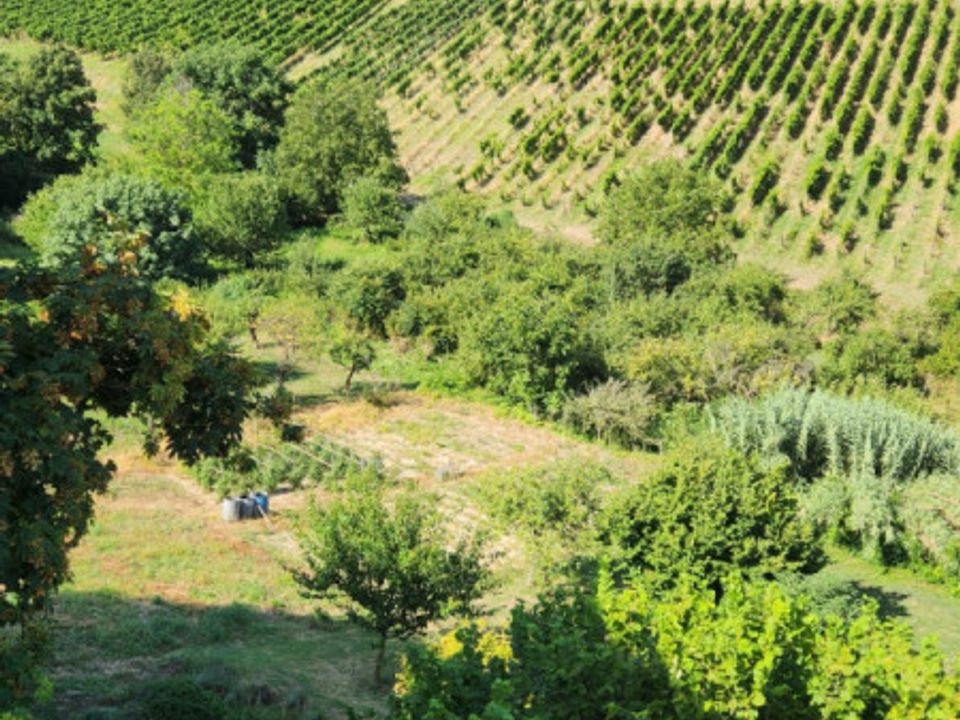Villa i Corvino San Quirico, Pavia - foto 5