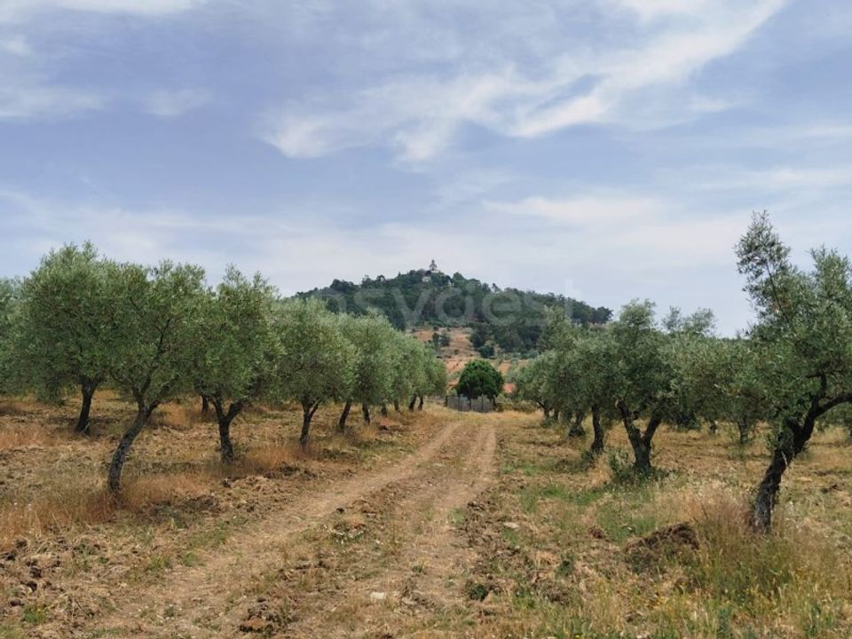 Erhvervsejendom i Vila Flor, Braganca - foto 1