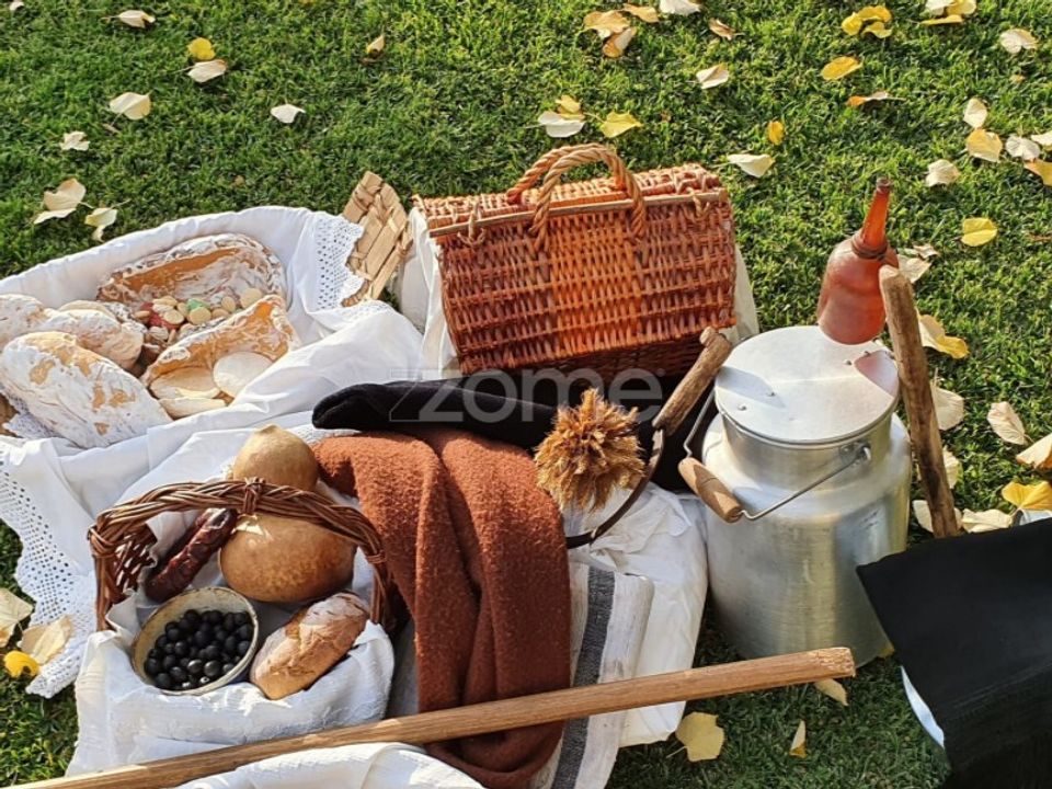 Erhvervsejendom i Abraveses, Viseu - foto 2