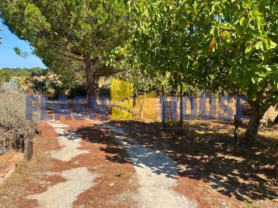 Gård i Cartaxo, Santarem - bilde 2