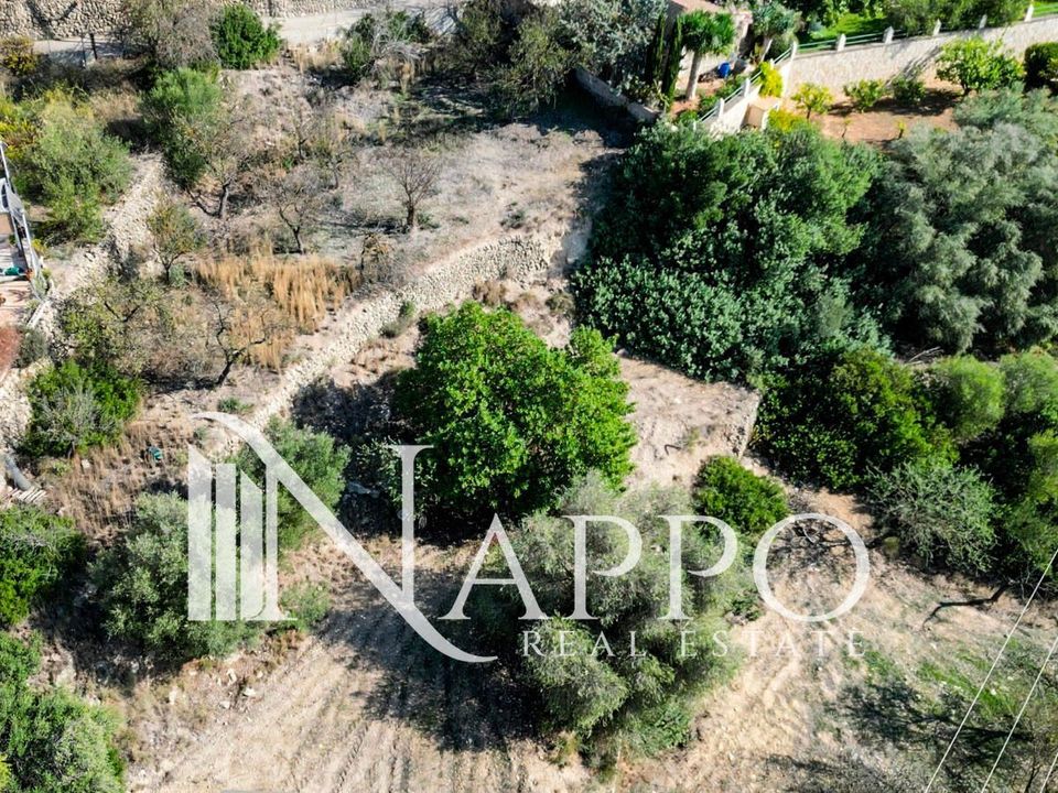 Finca i Calvia, Mallorca - foto 5